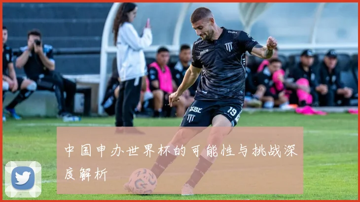 中国申办世界杯的可能性与挑战深度解析