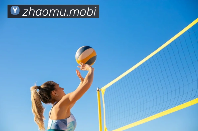 开云手机在线登录官网发展历程